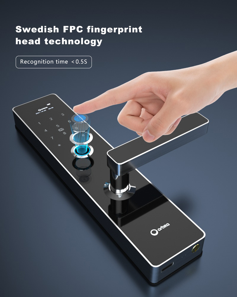 P8010 Fingerprint smart lock