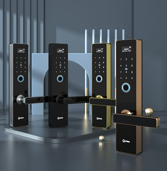 P8010 Fingerprint smart lock