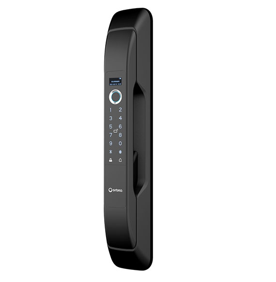 P8030 Fully automatic smart lock